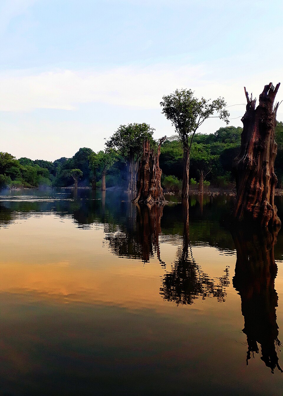 Reserva de Desenvolvimento Sustentável do Rio Negro: localização e características de Reserva de Desenvolvimento Sustentável