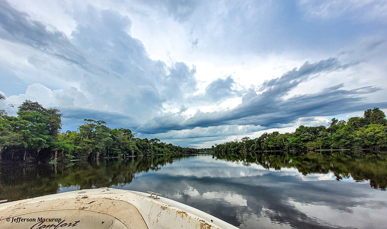 Onde fica Reserva Extrativista Rio Pacaás Novos: localização, administração e dados do território