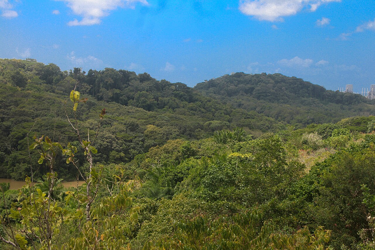 Estação Ecologica Bita e Utinga: localização e características de Estação Ecológica