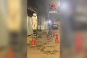 Corpo de Bombeiros foi acionado por moradora, após um enxame de abelhas invadir a casa