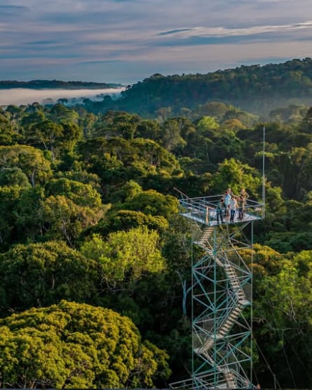 Hotéis no Brasil que transformam a hospedagem em uma experiência de viagem