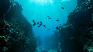 Aquecimento da Terra muda ‘idade’ do Oceano Pacífico, revela estudo