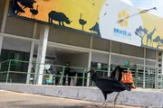 Criança picada por escorpião no Zoológico de Brasília tem alta hospitalar