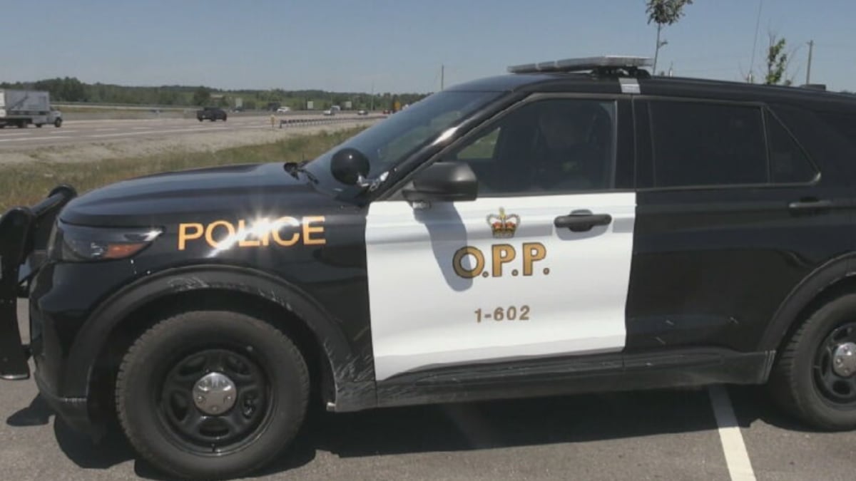 Police say impaired driver struck and killed female pedestrian in northwestern Ont.