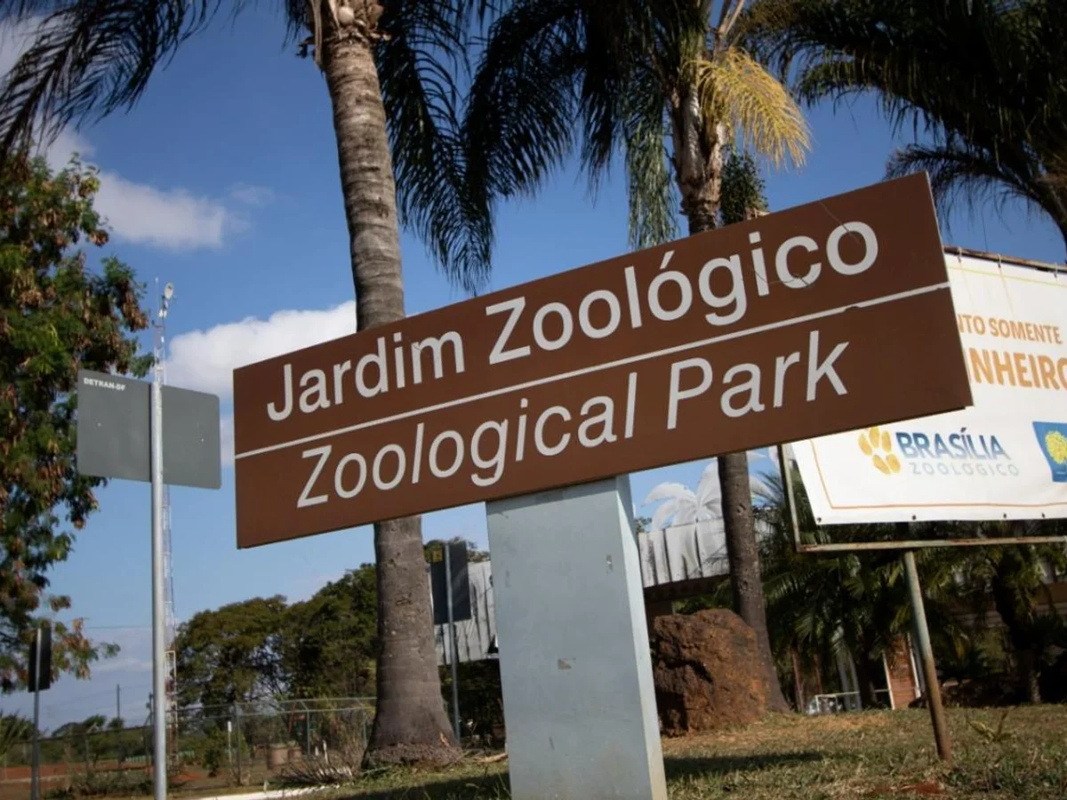 Criança picada por escorpião no Zoológico de Brasília tem alta hospitalar