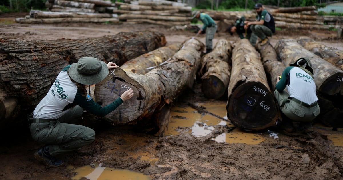 O mundo enfrenta um teste de realidade da natureza na conferência da ONU sobre biodiversidade