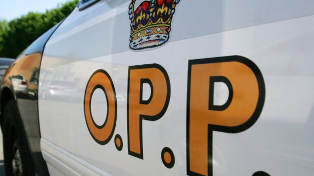 Ottawa driver leaves on foot following Hwy. 417 crash: OPP