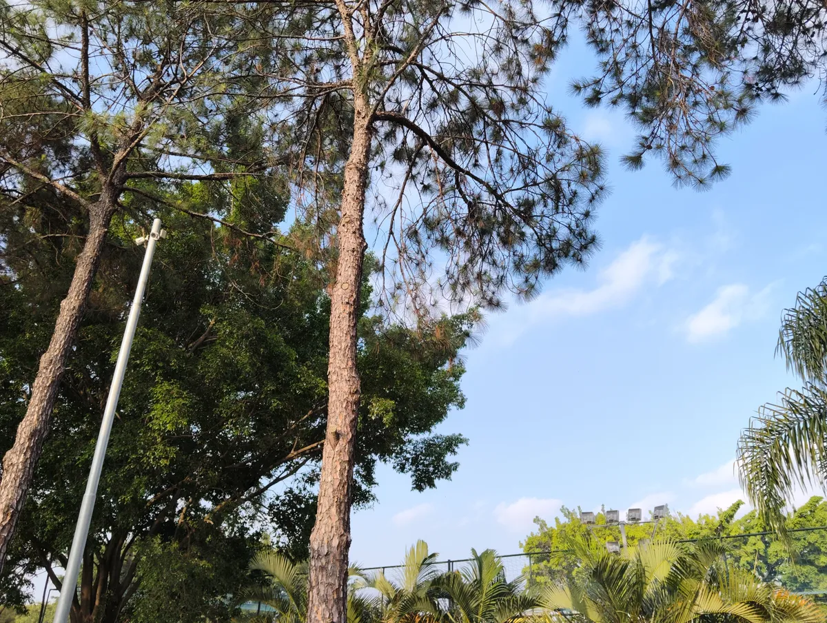 Imagem da matéria: Poco X8: testamos o celular que aposta tudo em bateria e tela