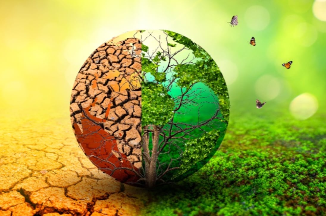 O mundo enfrenta um teste de realidade da natureza na conferência da ONU sobre biodiversidade