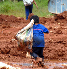 A Pnad mostra que há uma diferença na proporção do tipo de trabalho desenvolvido pelas crianças e adolescentes cujas famílias recebem Bolsa Família Foto: Marcello Casal Jr./Agência Brasil