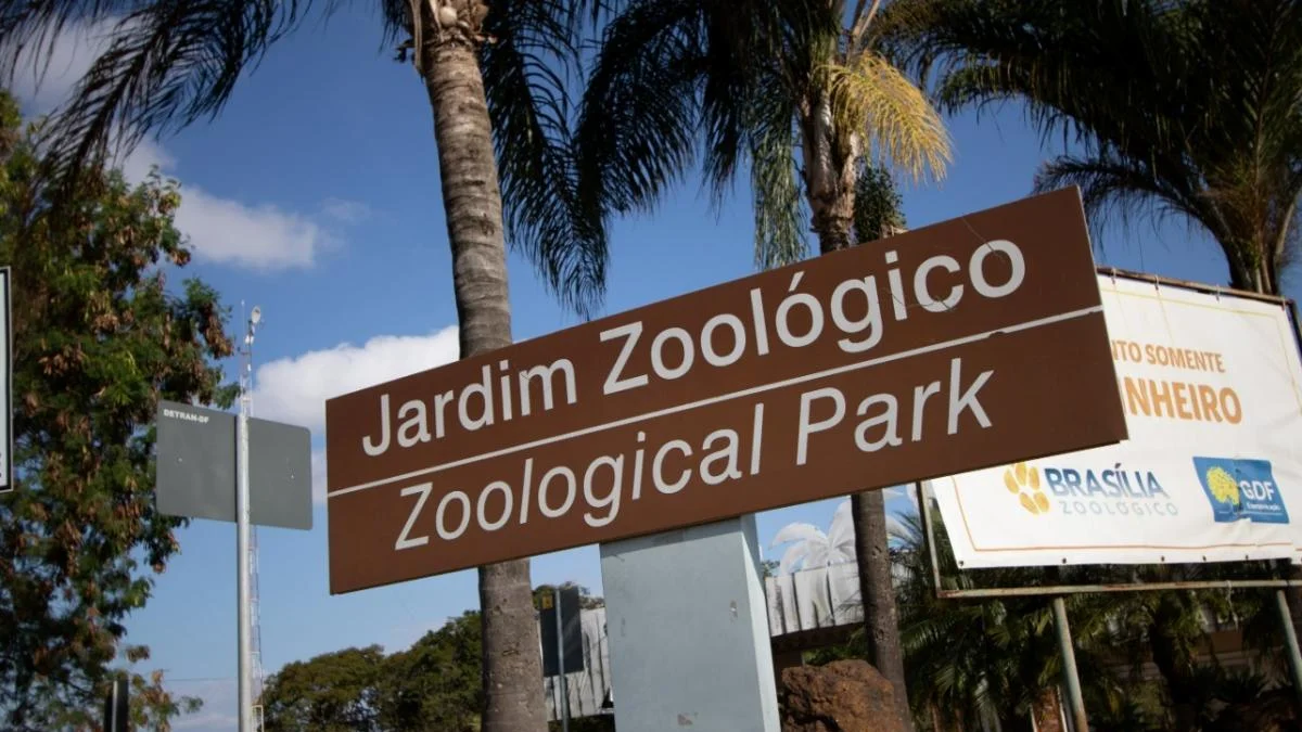 Criança picada por escorpião no Zoológico de Brasília tem alta hospitalar