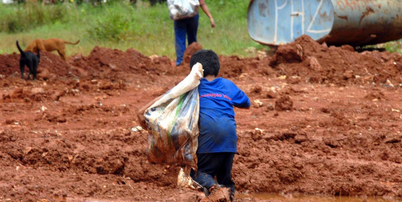 A Pnad mostra que h&aacute; uma diferen&ccedil;a na propor&ccedil;&atilde;o do tipo de trabalho desenvolvido pelas crian&ccedil;as e adolescentes cujas fam&iacute;lias recebem Bolsa Fam&iacute;lia Foto: Marcello Casal Jr./Ag&ecirc;ncia Brasil
