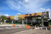 Criança picada por escorpião no Zoológico de Brasília tem alta hospitalar
