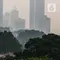Asap Kebakaran Hutan Terdeteksi di Jakarta, DPRD Minta Warga Tak Panik