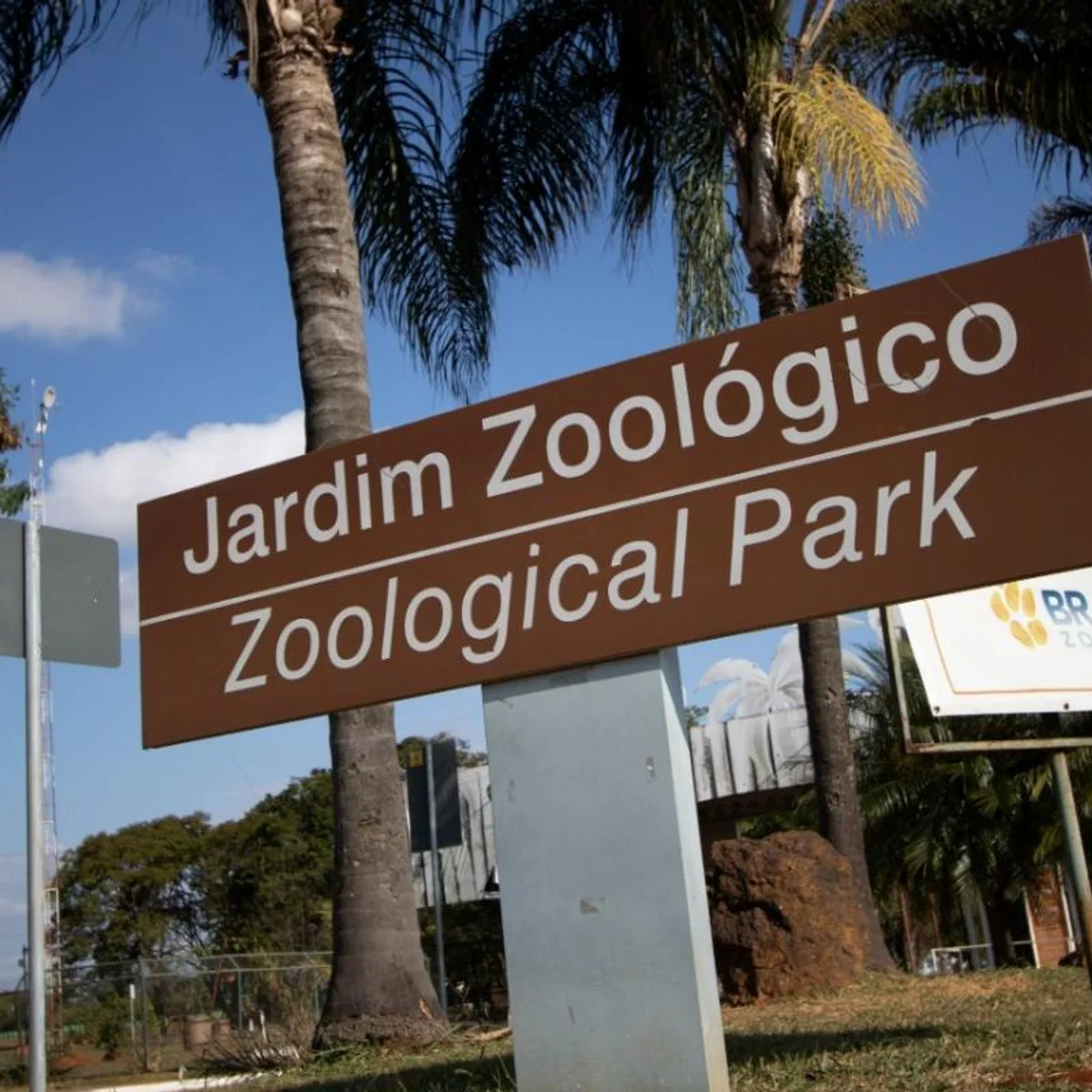 Criança picada por escorpião no Zoológico de Brasília tem alta hospitalar