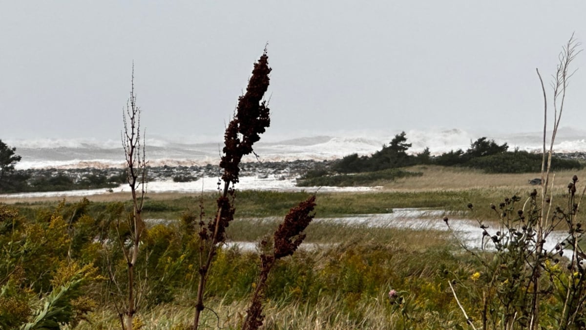 More winds of change ahead for Maritime weather